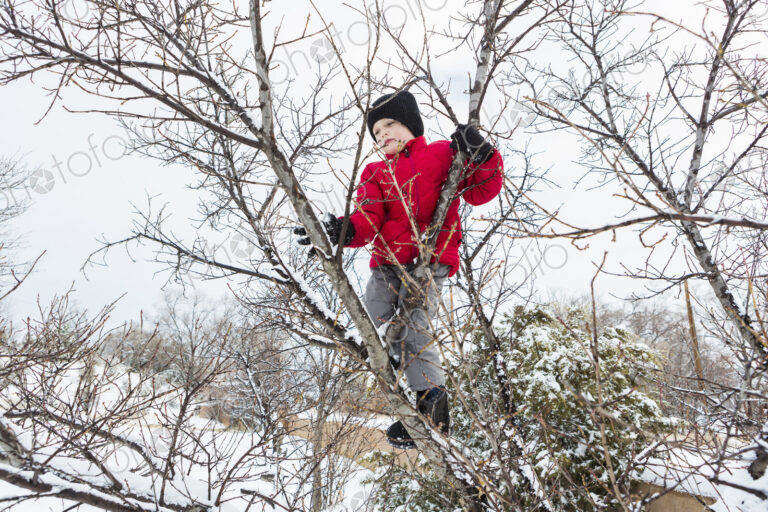 Six year old boy in a red jacket climbing a tree in winter