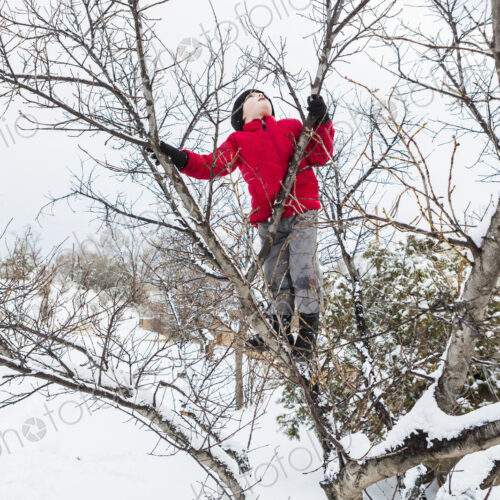 Six year old boy in a red jacket climbing a tree in winter Six year old boy in a red jacket climbing a tree in winter