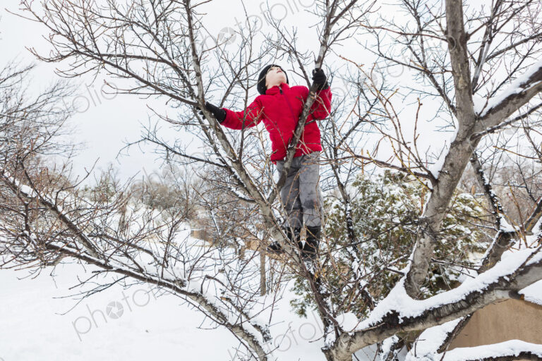 Six year old boy in a red jacket climbing a tree in winter