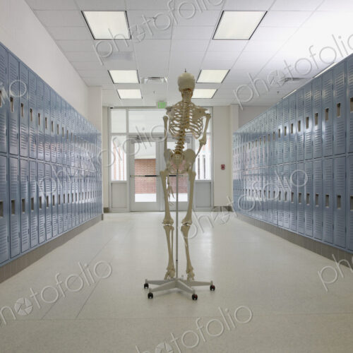 Skeleton in High School Hallway Skeleton in High School Hallway