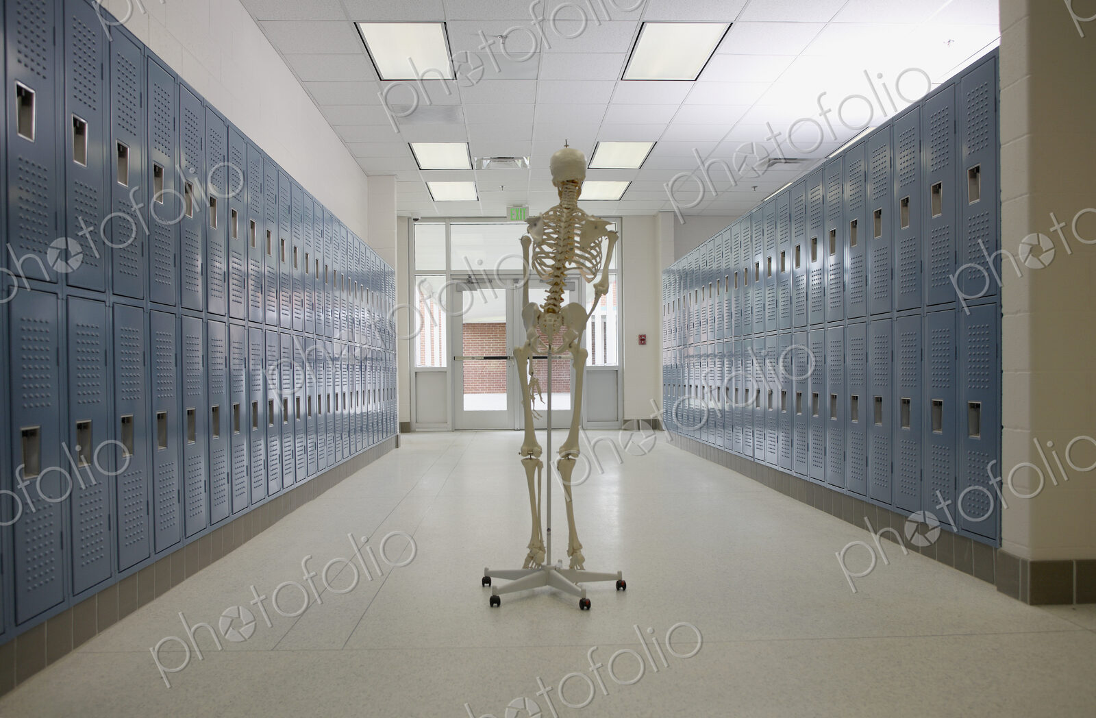 Skeleton in High School Hallway
