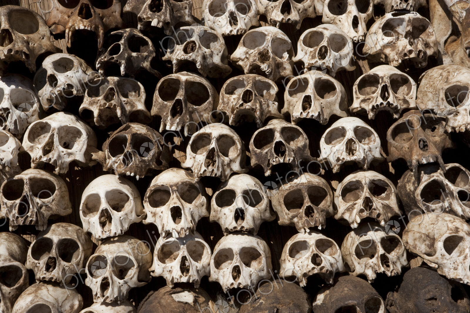 Skulls arranged in a head in Togo.