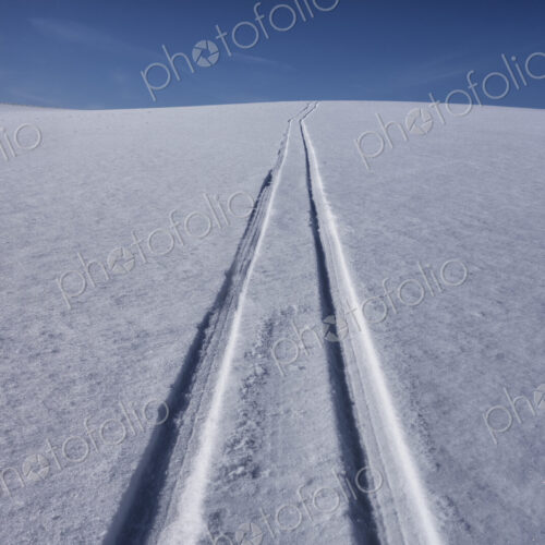 Sled tracks on snow.