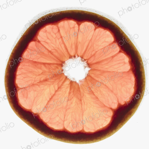 Slice of organic ruby red grapefruit on white background
