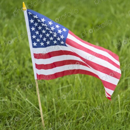 Small American flag on a wooden stick standing in vibrant green grass - a patriotic… Small American flag on a wooden stick standing in vibrant green grass - a patriotic…