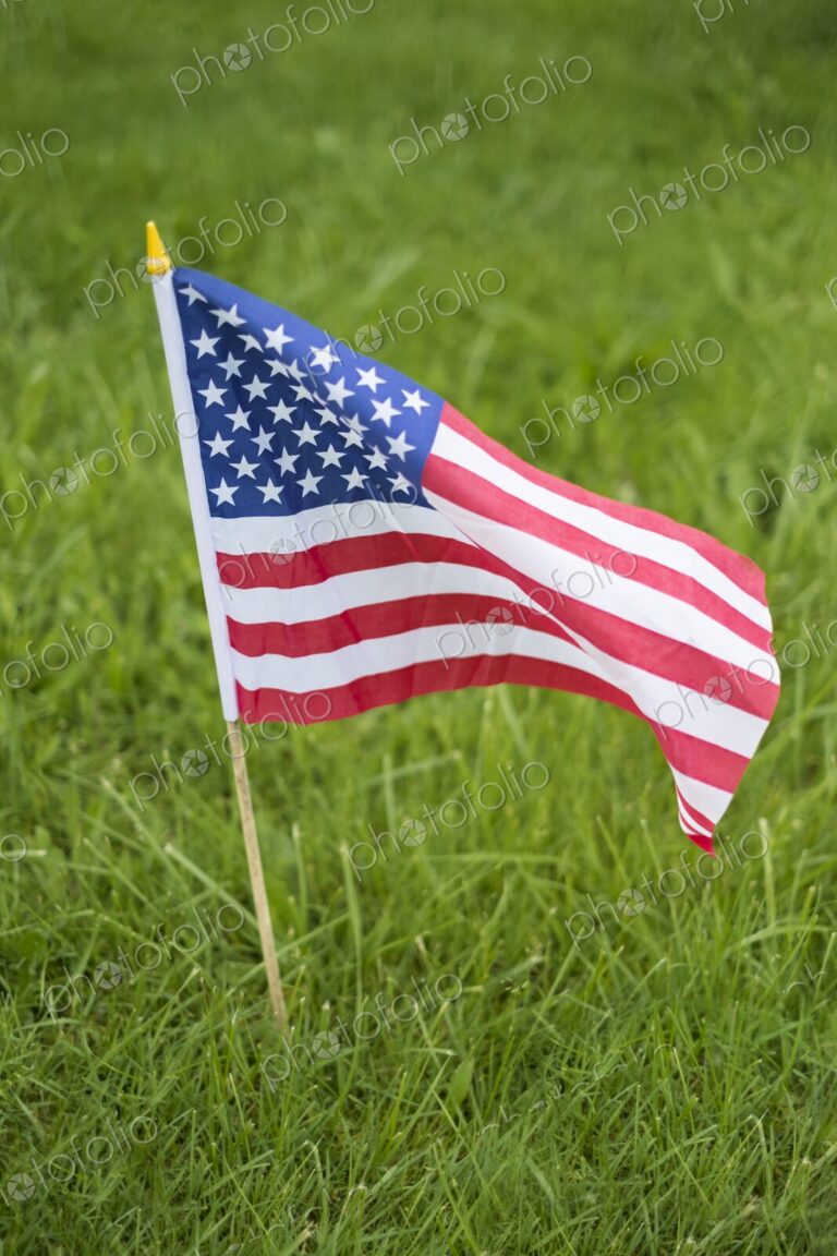 Small American flag on a wooden stick standing in vibrant green grass - a patriotic…