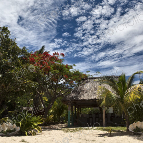 Small Hut on a Tropical Beach Small Hut on a Tropical Beach