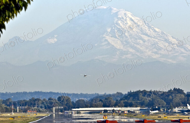 Small Plane Landing On Runway