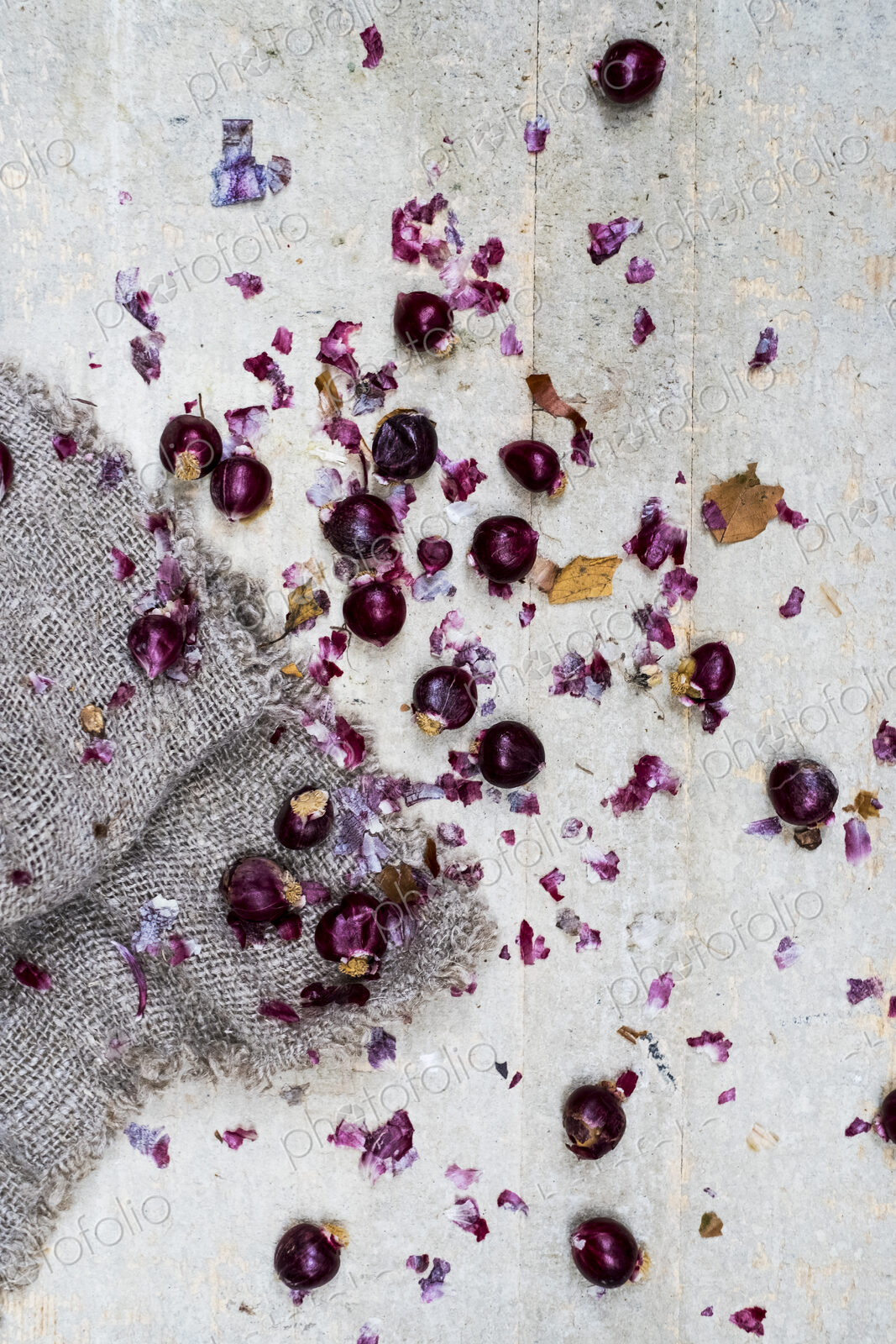 Small glossy red onions and papery outer skins on grey background.