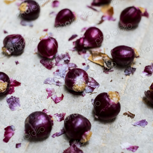 Small glossy red onions and papery outer skins on grey background.