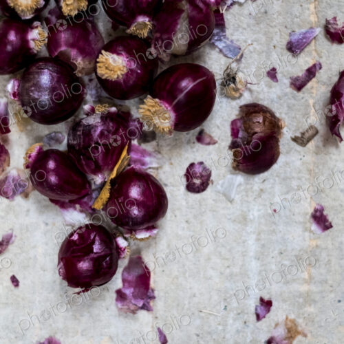 Small glossy red onions and papery outer skins on grey background.