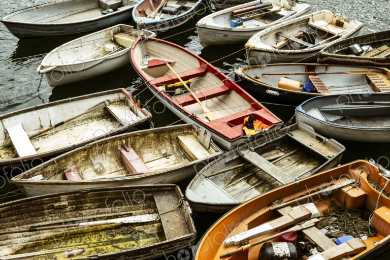 Small wooden rowing boats moored on long lines in a harbour, packed together.