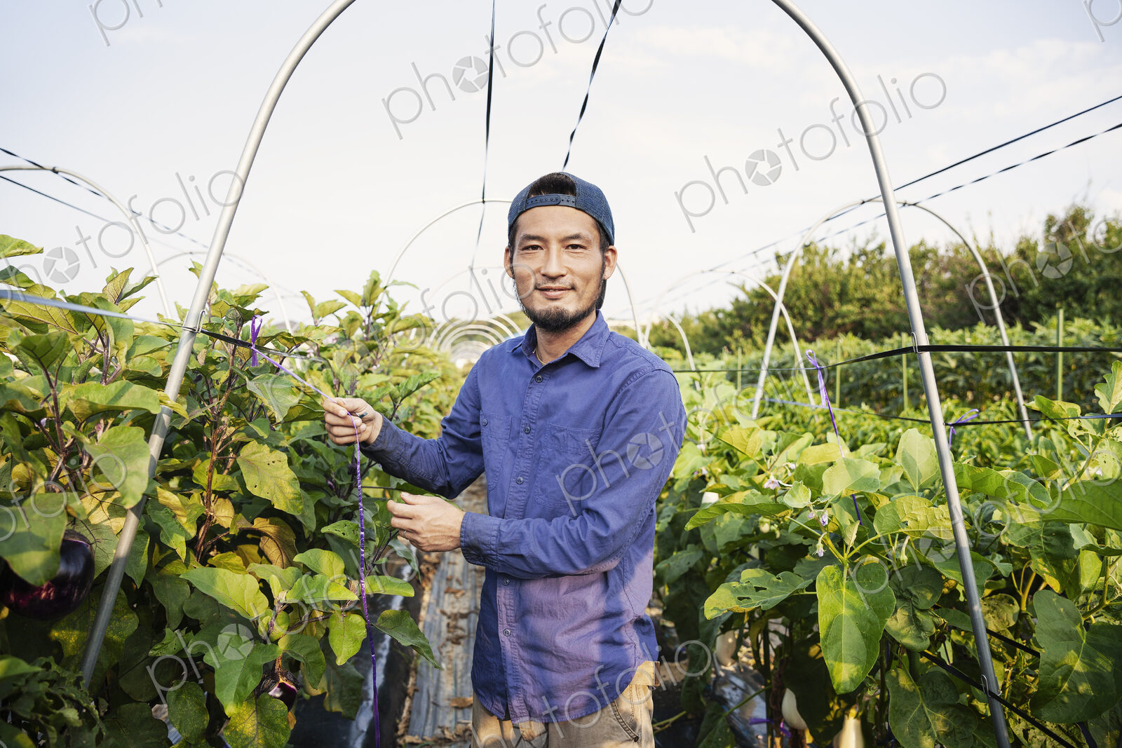 Smiling Japanese man wearing cap standing in vegetable field, looking at camera.