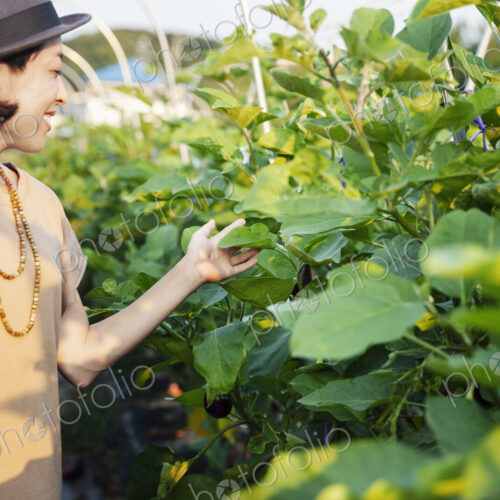 Smiling Japanese woman wearing hat standing in vegetable field, touching leaf. Smiling Japanese woman wearing hat standing in vegetable field, touching leaf.