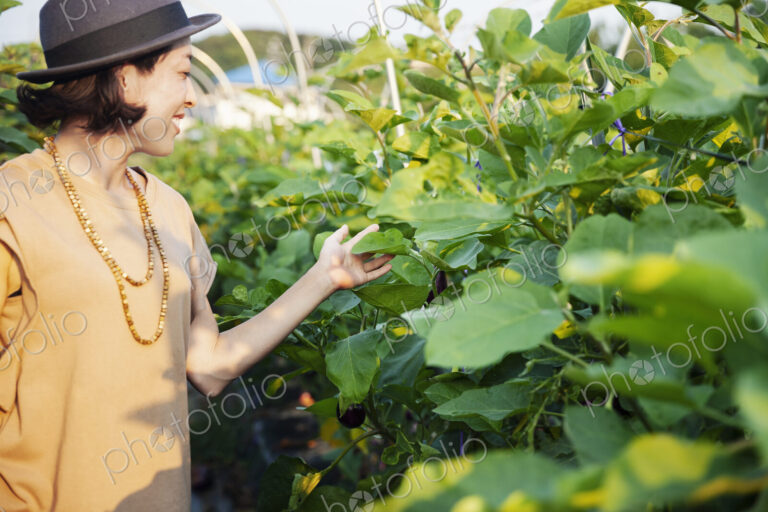 Smiling Japanese woman wearing hat standing in vegetable field, touching leaf.