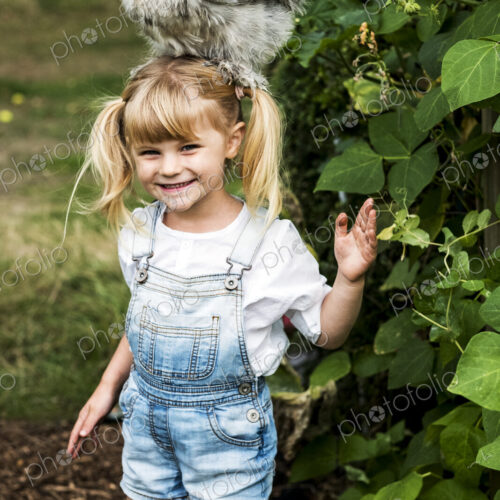 Smiling blond girl standing in a garden, with a fluffy grey chicken on her head. Smiling blond girl standing in a garden, with a fluffy grey chicken on her head.