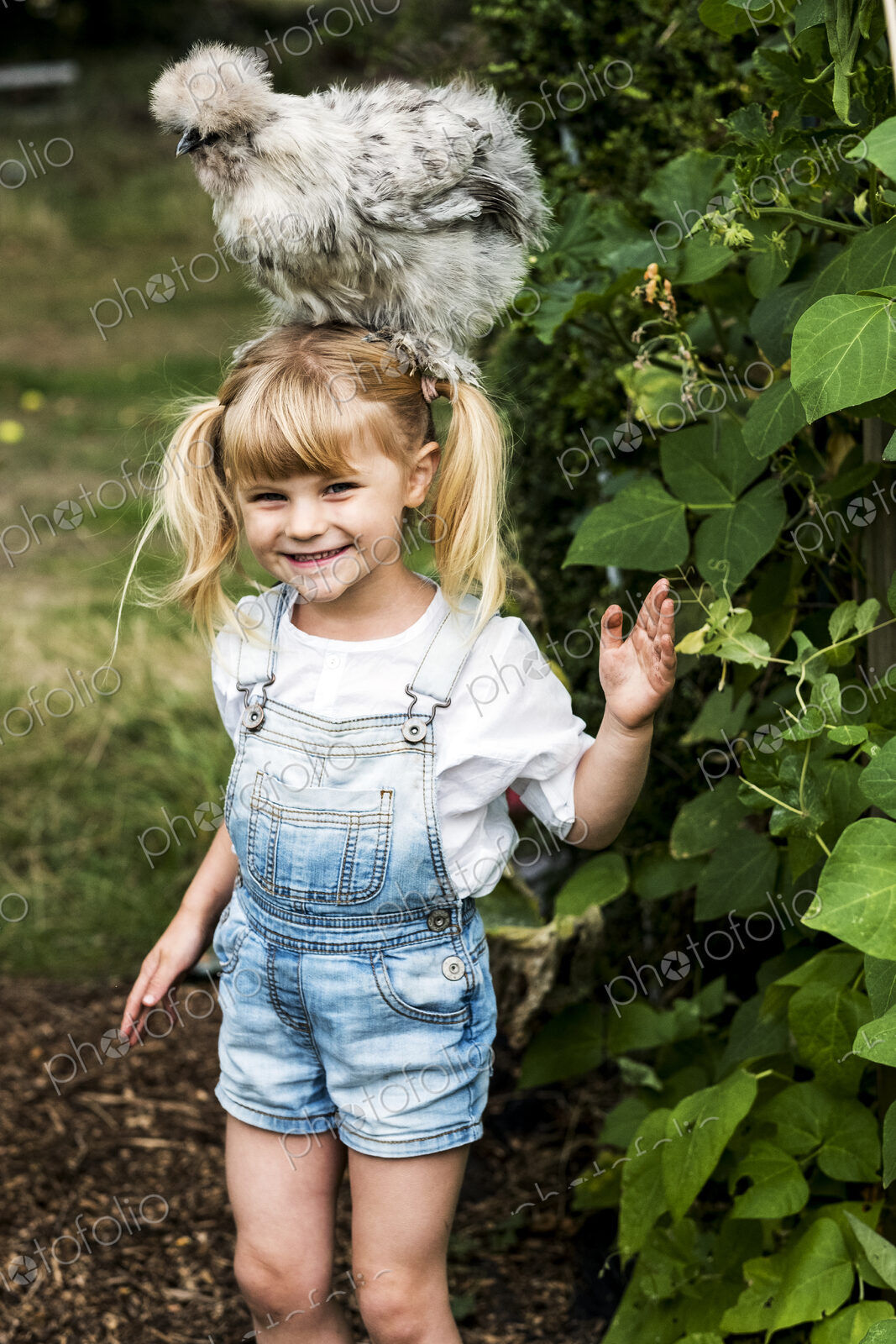 Smiling blond girl standing in a garden, with a fluffy grey chicken on her head.