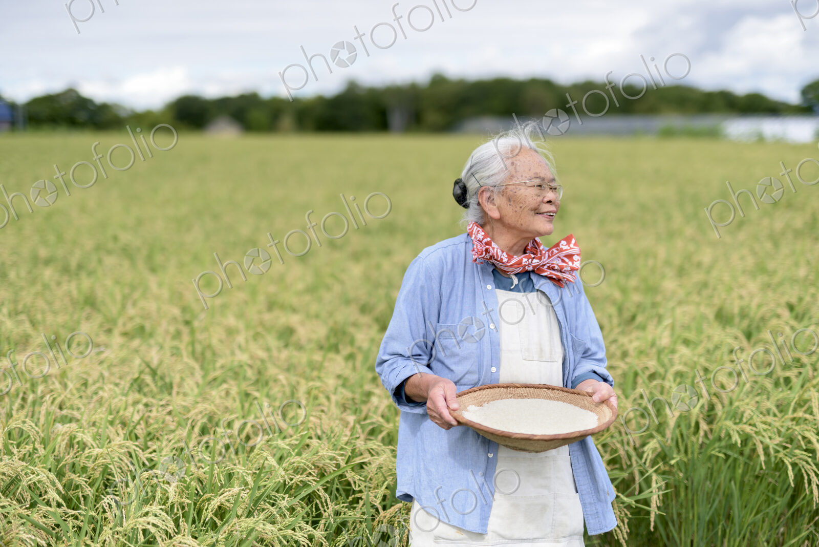 Smiling elderly woman with grey hair standing in a rice field, holding bowl with…