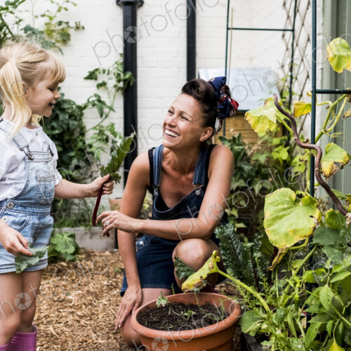 Smiling woman and girl in a garden, picking fresh vegetables. Smiling woman and girl in a garden, picking fresh vegetables.