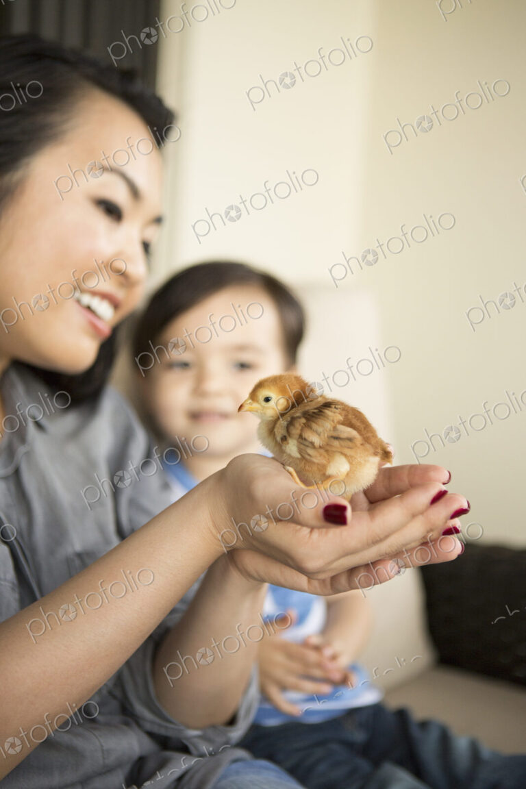 Smiling woman holding a tiny chick in her hands, her young son watching.