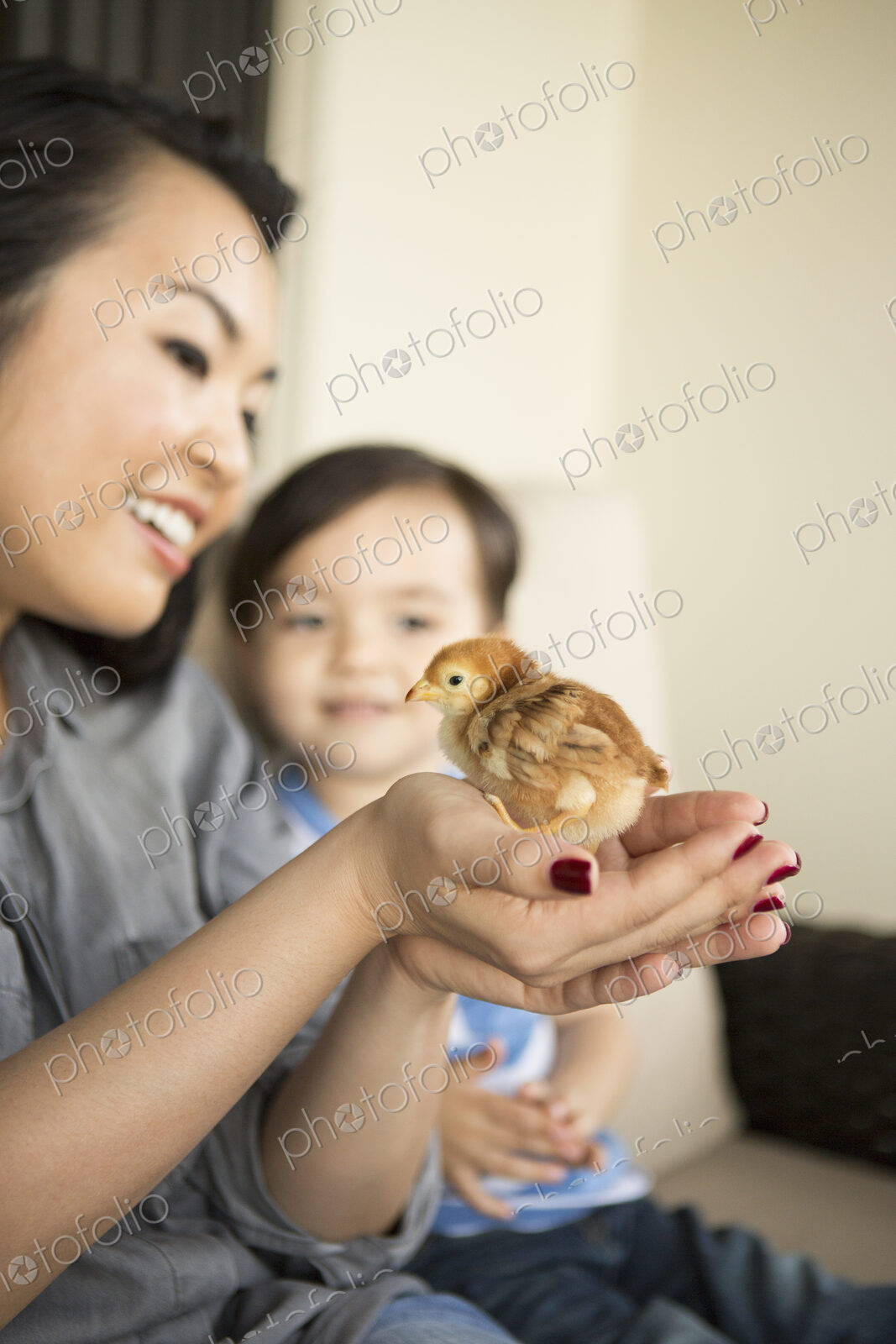 Smiling woman holding a tiny chick in her hands, her young son watching.