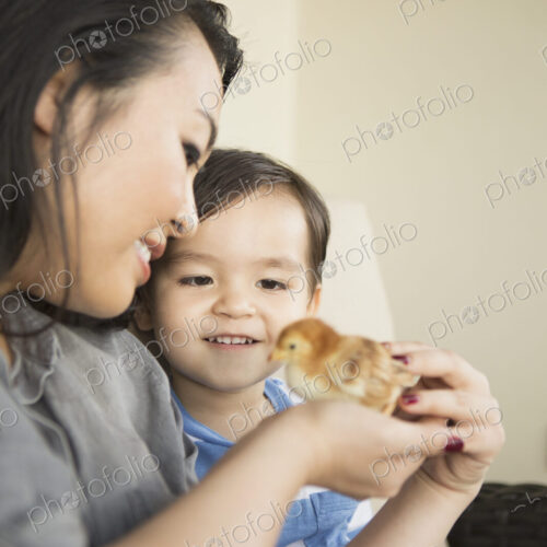 Smiling woman holding a tiny chick in her hands, her young son watching. Smiling woman holding a tiny chick in her hands, her young son watching.