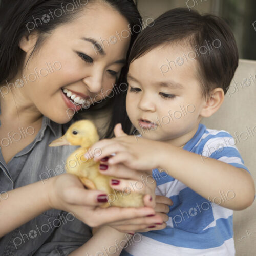 Smiling woman holding a yellow duckling in her hands, her young son stroking the animal. Smiling woman holding a yellow duckling in her hands, her young son stroking the animal.