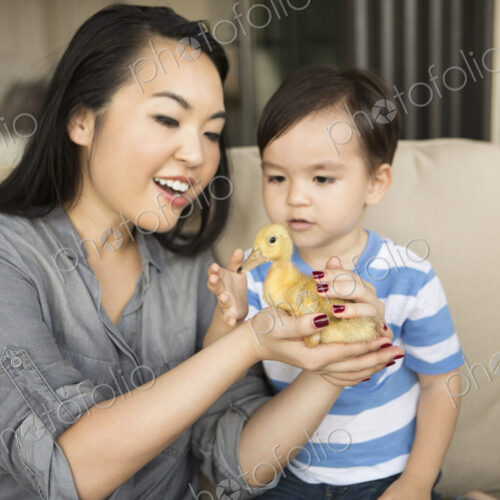 Smiling woman holding a yellow duckling in her hands, her young son watching. Smiling woman holding a yellow duckling in her hands, her young son watching.