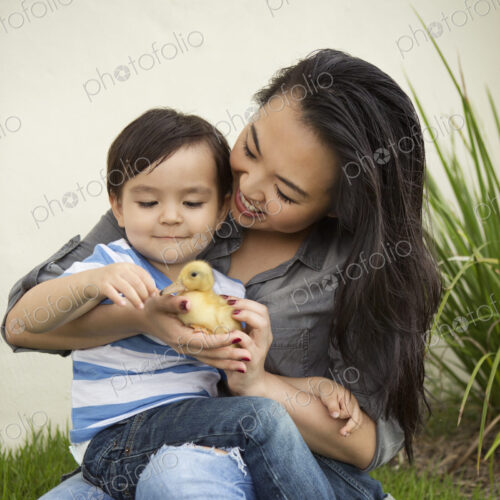 Smiling woman holding a yellow duckling in her hands, her young son watching. Smiling woman holding a yellow duckling in her hands, her young son watching.