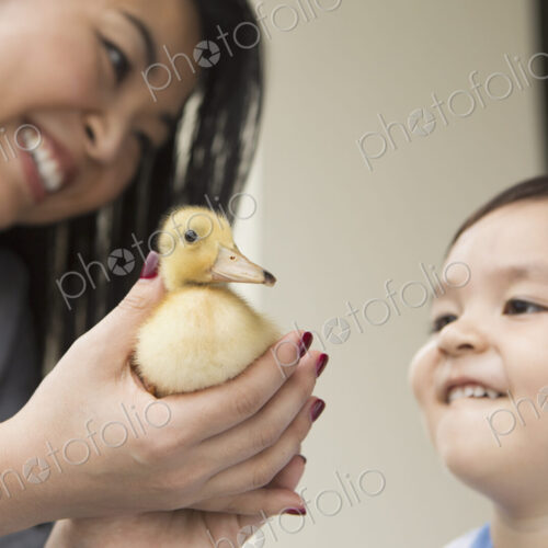 Smiling woman holding a yellow duckling in her hands, her young son watching. Smiling woman holding a yellow duckling in her hands, her young son watching.