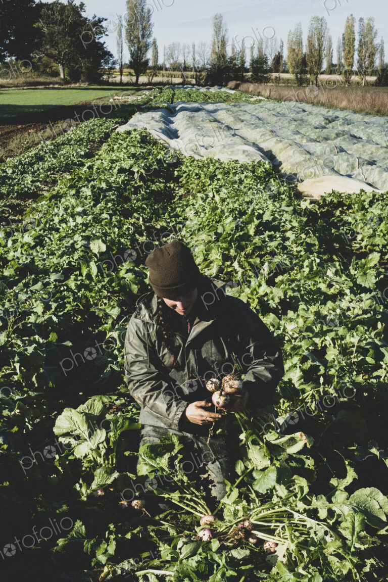 Smiling woman kneeling in field, holding bunch of freshly harvested turnips.