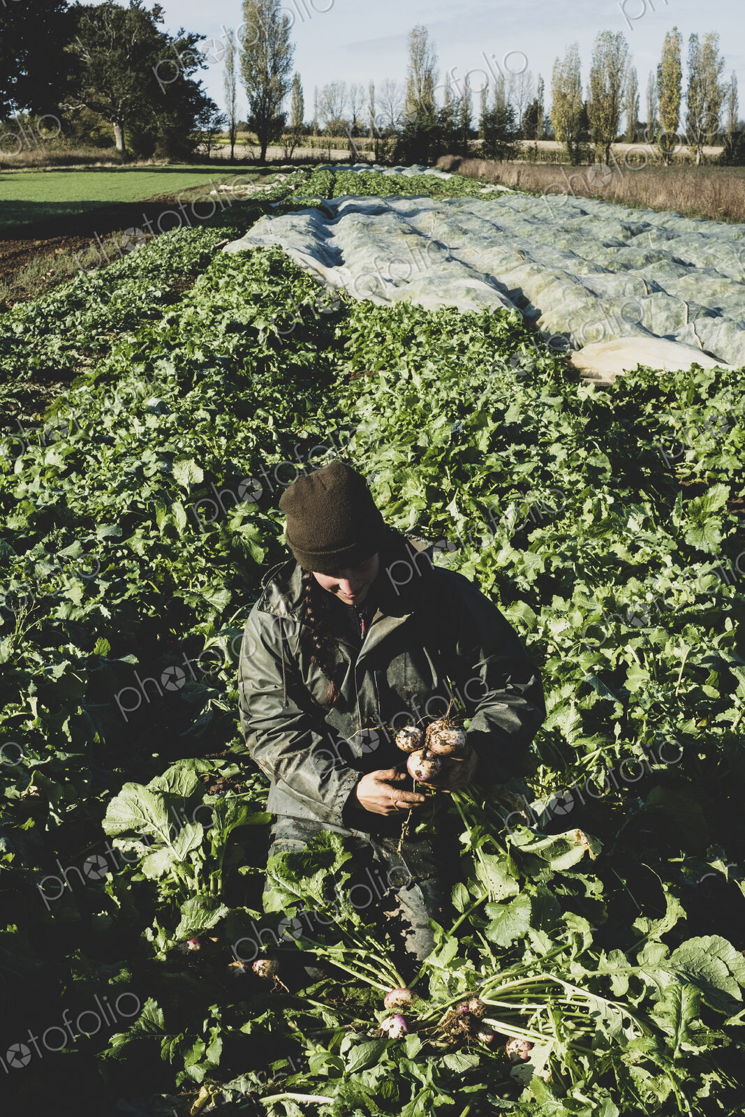 Smiling woman kneeling in field, holding bunch of freshly harvested turnips.