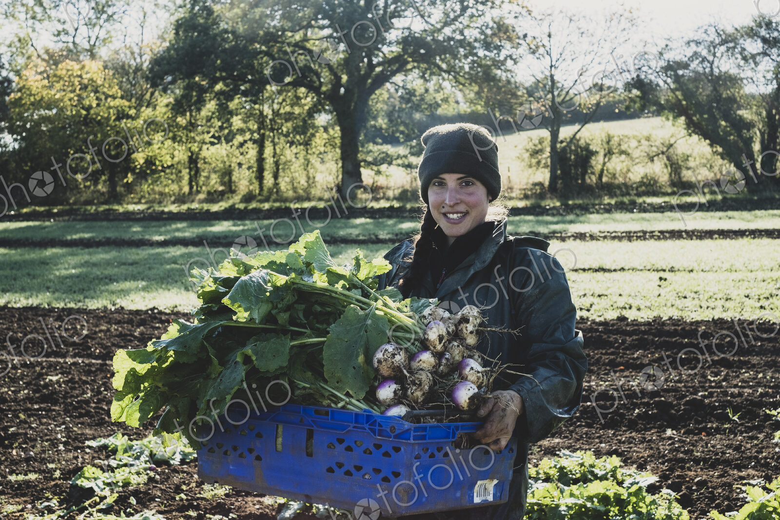 Smiling woman standing in field, holding blue crate with freshly harvested turnips,…