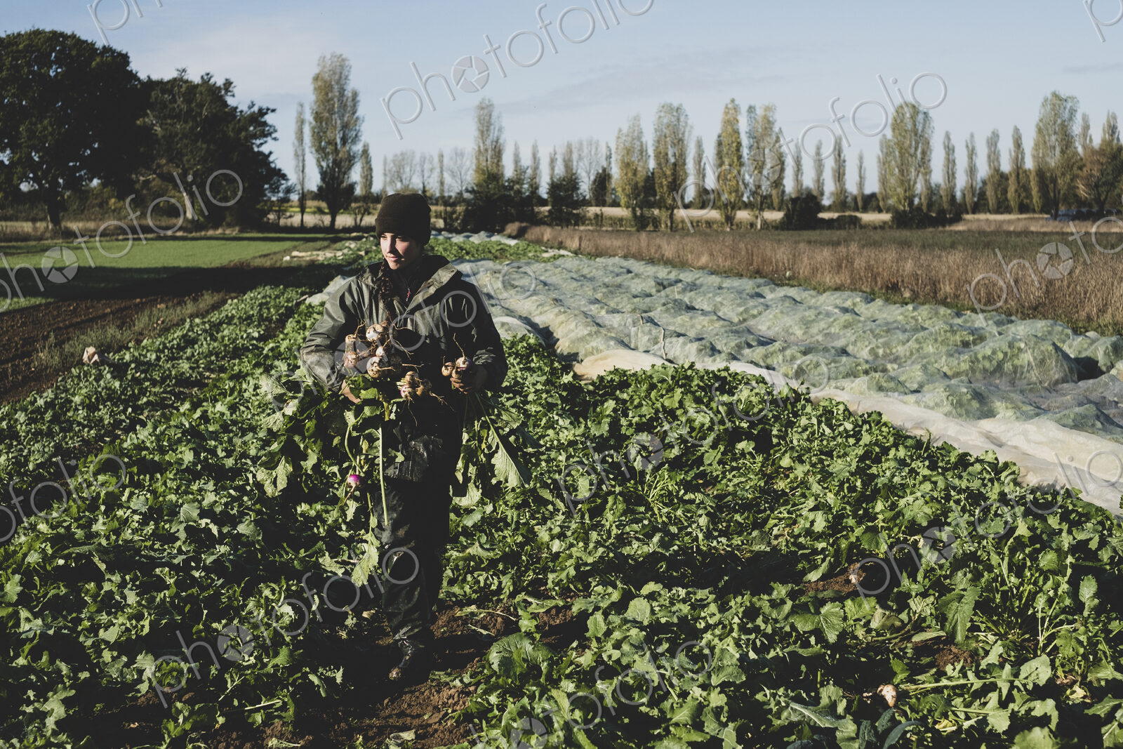 Smiling woman standing in field, holding bunch of freshly harvested turnips.
