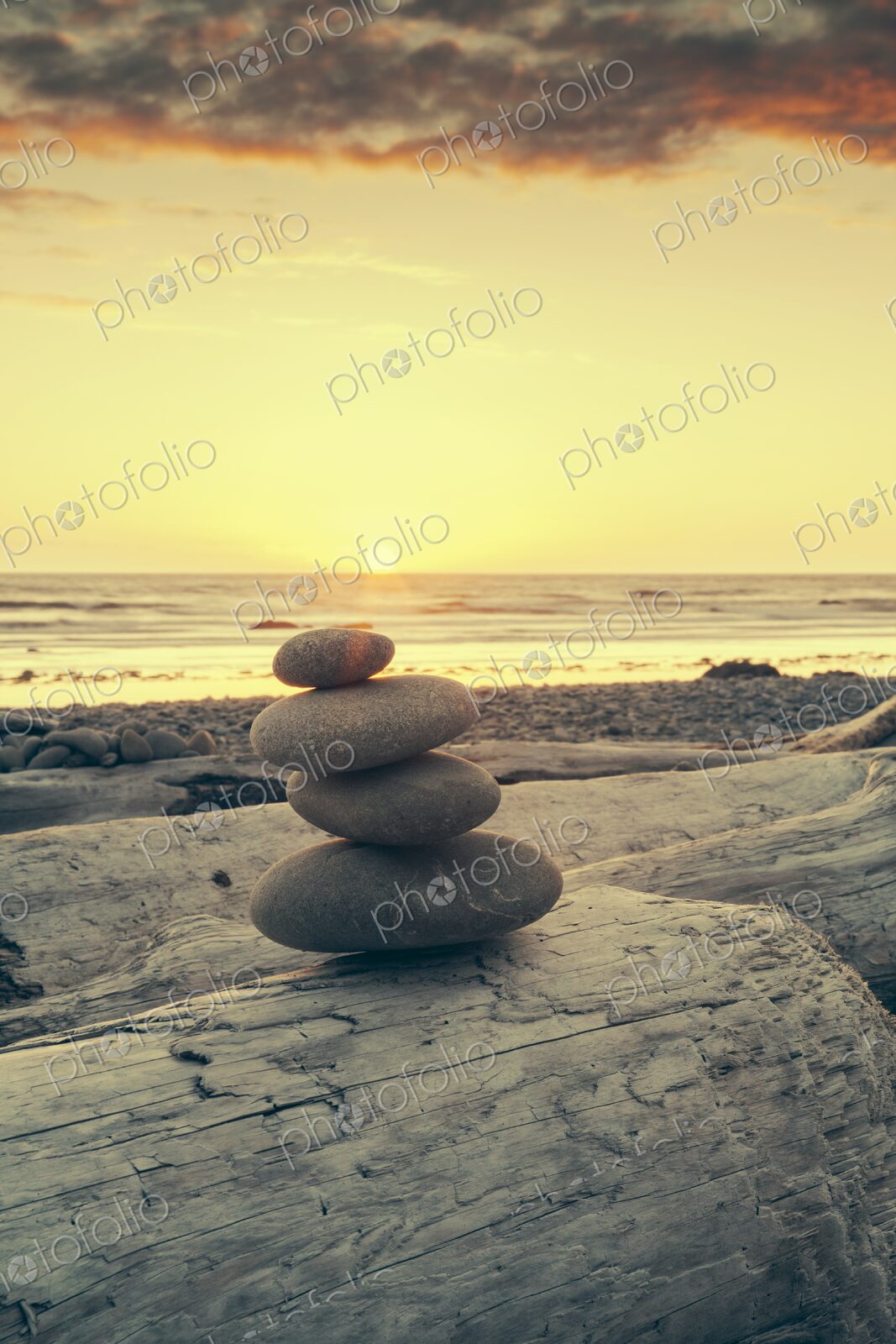 Smooth stones balanced on driftwood at Ruby Beach, Olympic Peninsula, Washington, with…