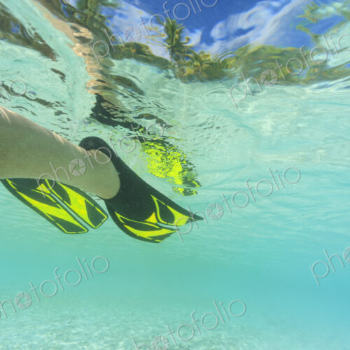 Snorkeling flippers in tropical water Snorkeling flippers in tropical water