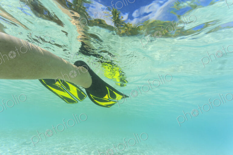 Snorkeling flippers in tropical water