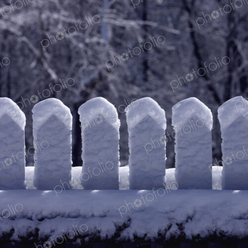 Snow-Covered Picket Fence in Winter