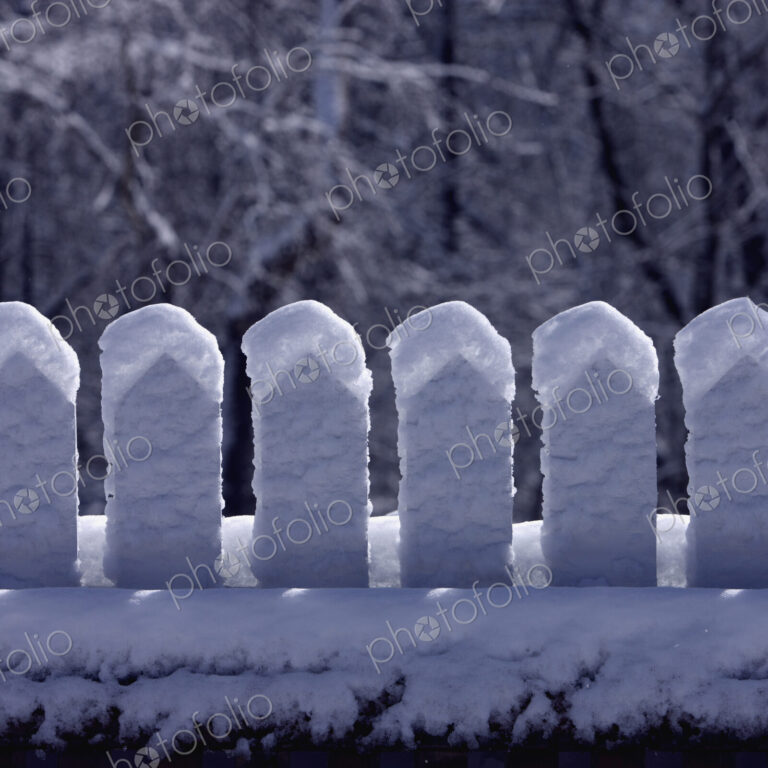 Snow-Covered Picket Fence in Winter