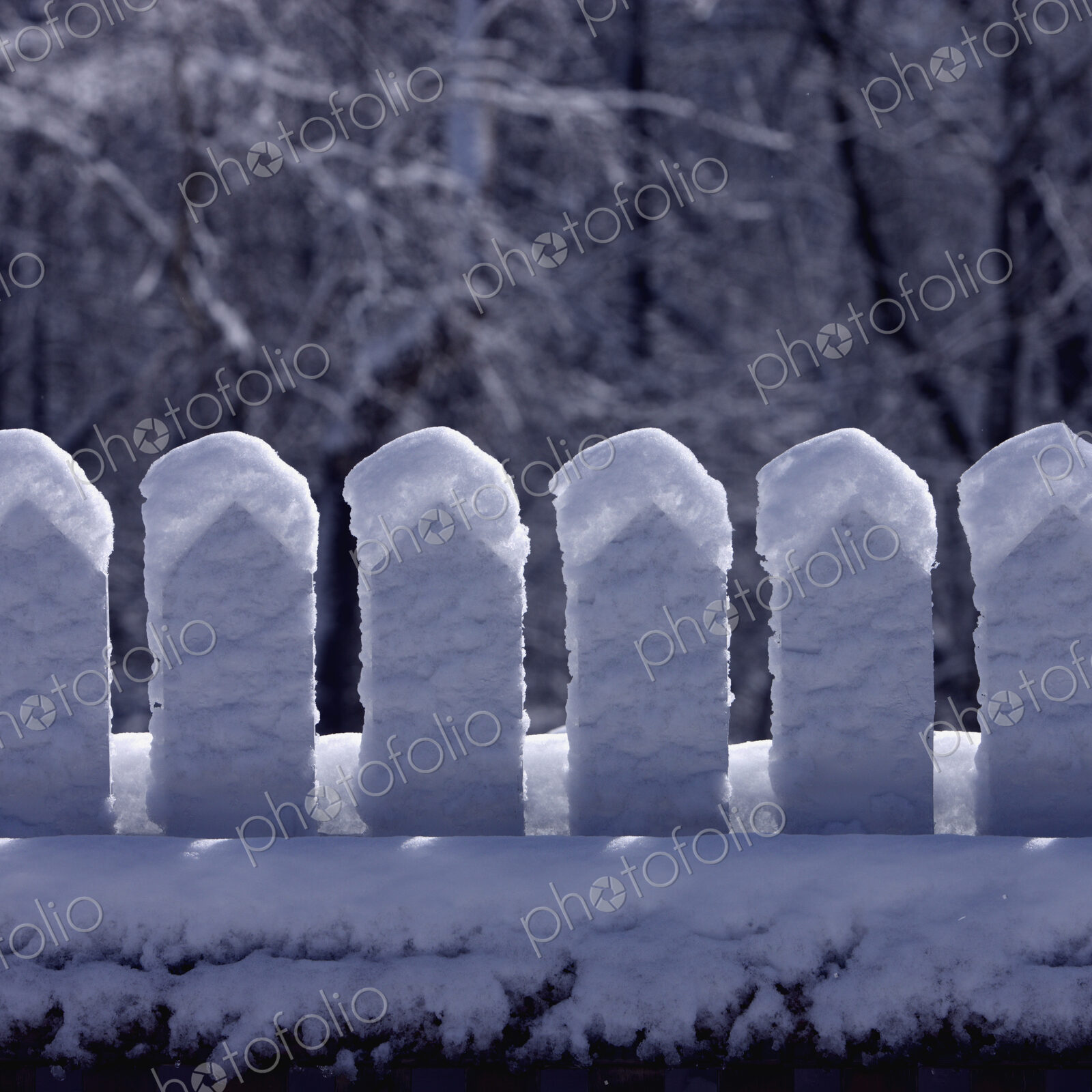 Snow-Covered Picket Fence in Winter