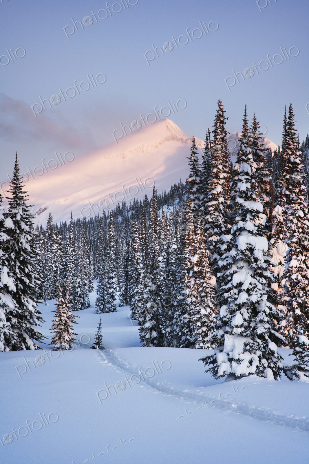 Snowy Landscape