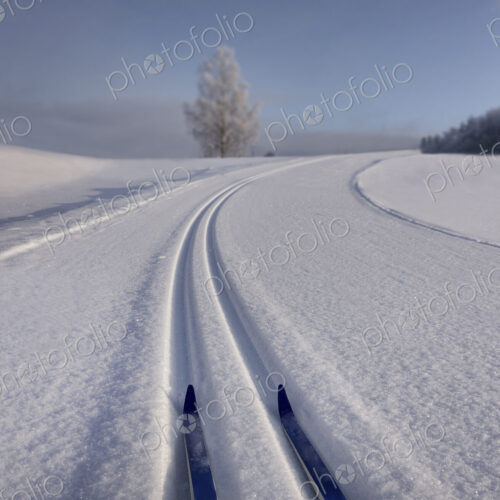 Snowy, hilly cross-country ski track with skiis in Estonia, s-shaped trail in winter.
