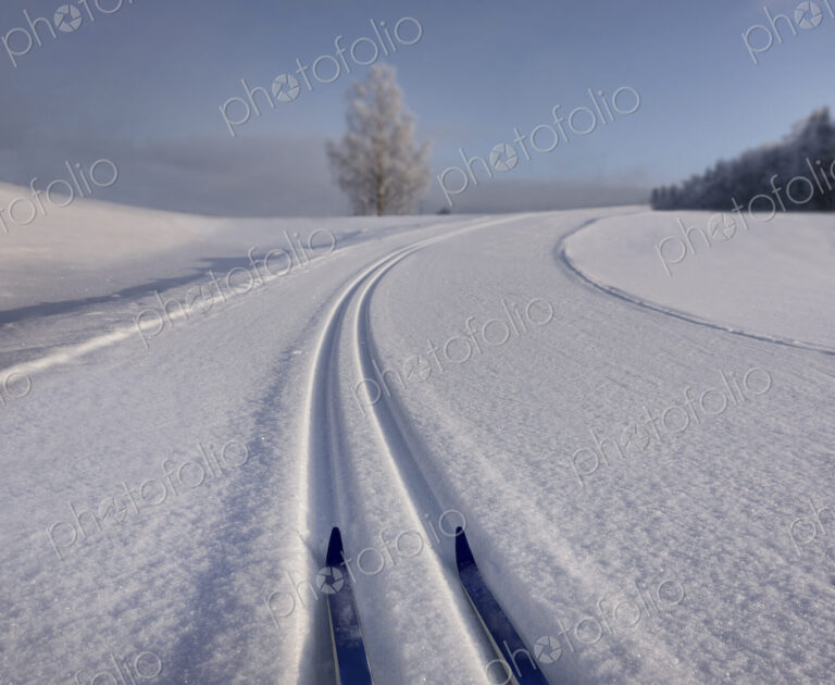 Snowy, hilly cross-country ski track with skiis in Estonia, s-shaped trail in winter.