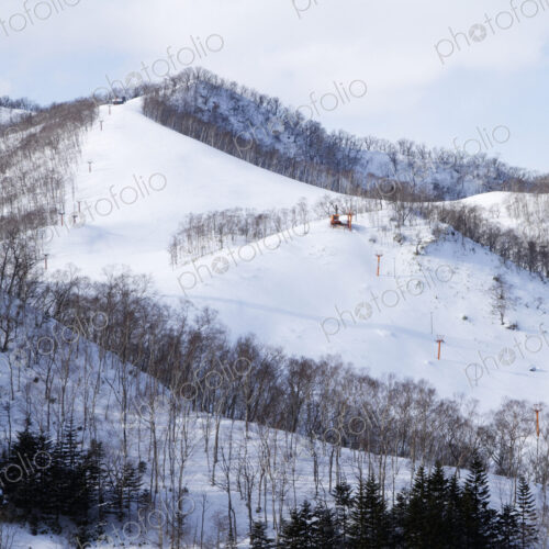 Snowy mountain in a forest. Snowy mountain in a forest.