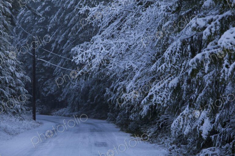 Snowy road, Port Angeles, Washington, United States