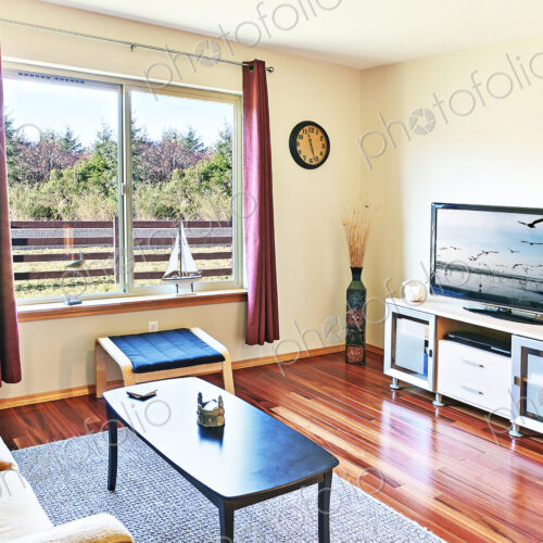 Sofa and coffee table in modern living room
