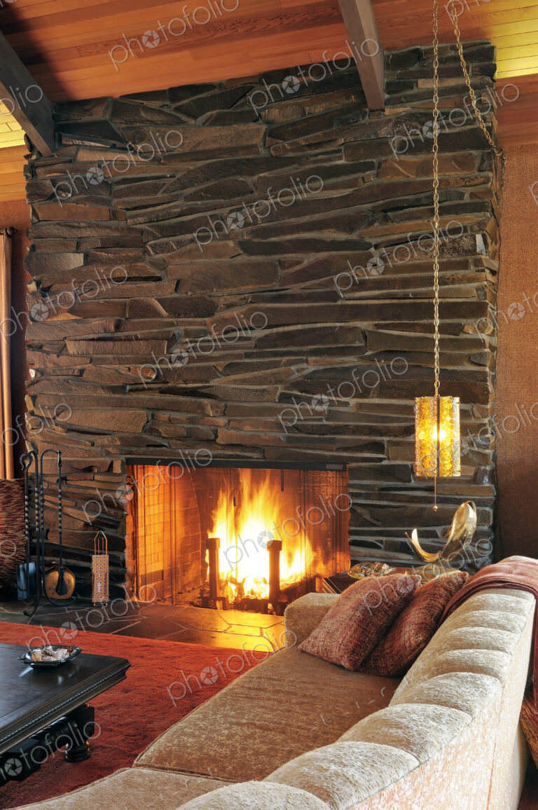 Sofa and fireplace in modern living room
