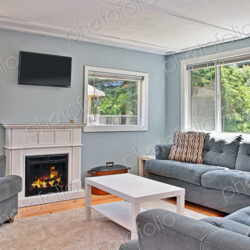Sofa and fireplace in modern living room