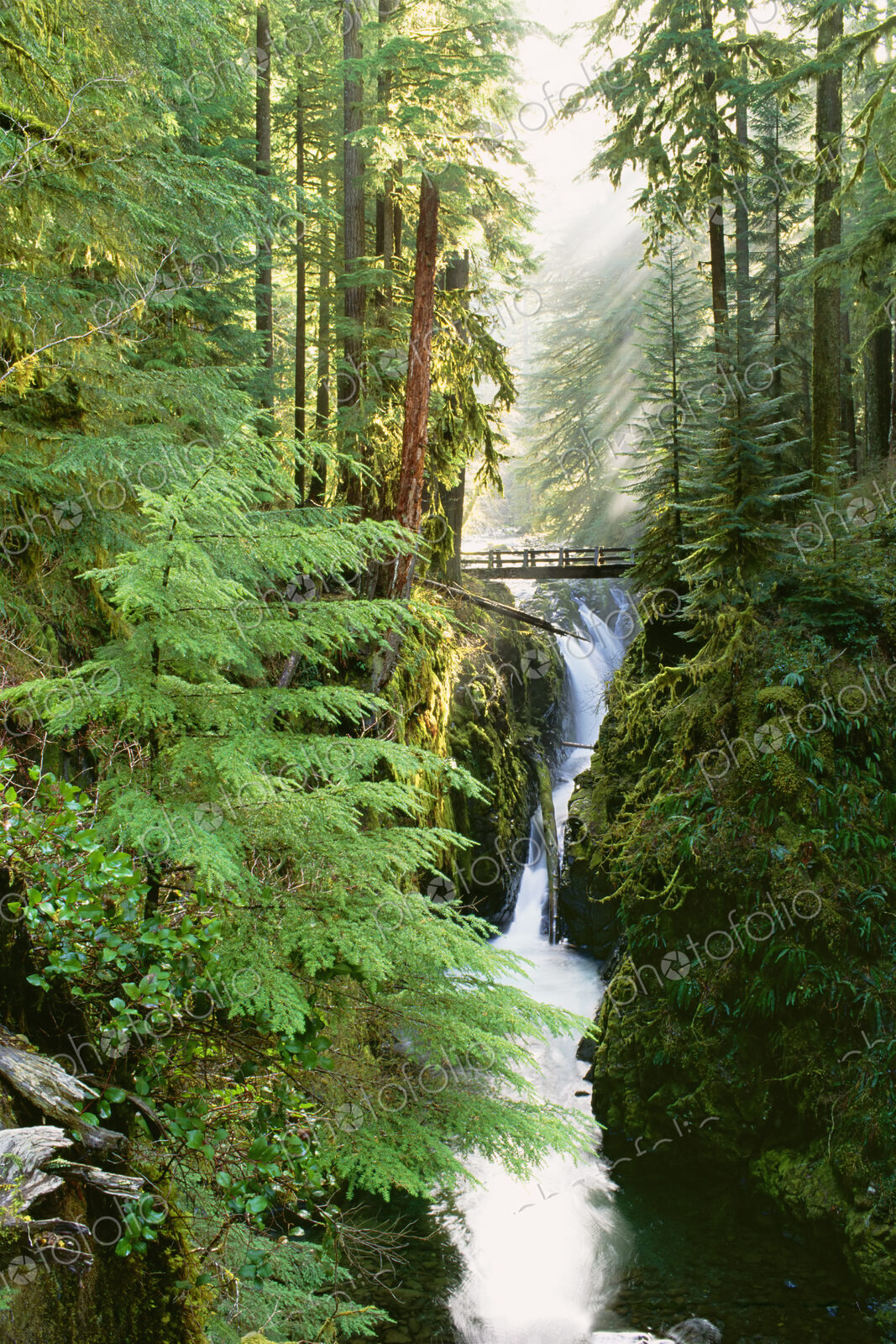 Sol Duc Falls are in the forest of Olympic National Park, Washington State.