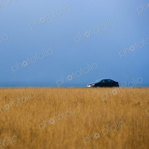 Solitary Car On Road Through Winter Grass Solitary Car On Road Through Winter Grass